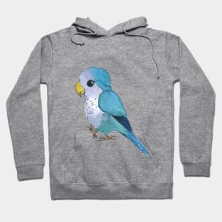 Very cute blue parrot Hoodie